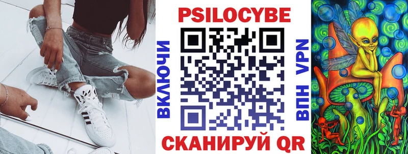 Псилоцибиновые грибы Cubensis  Купить  Бежецк 