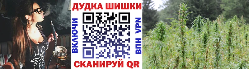Купить где Бежецк Марихуана тримм